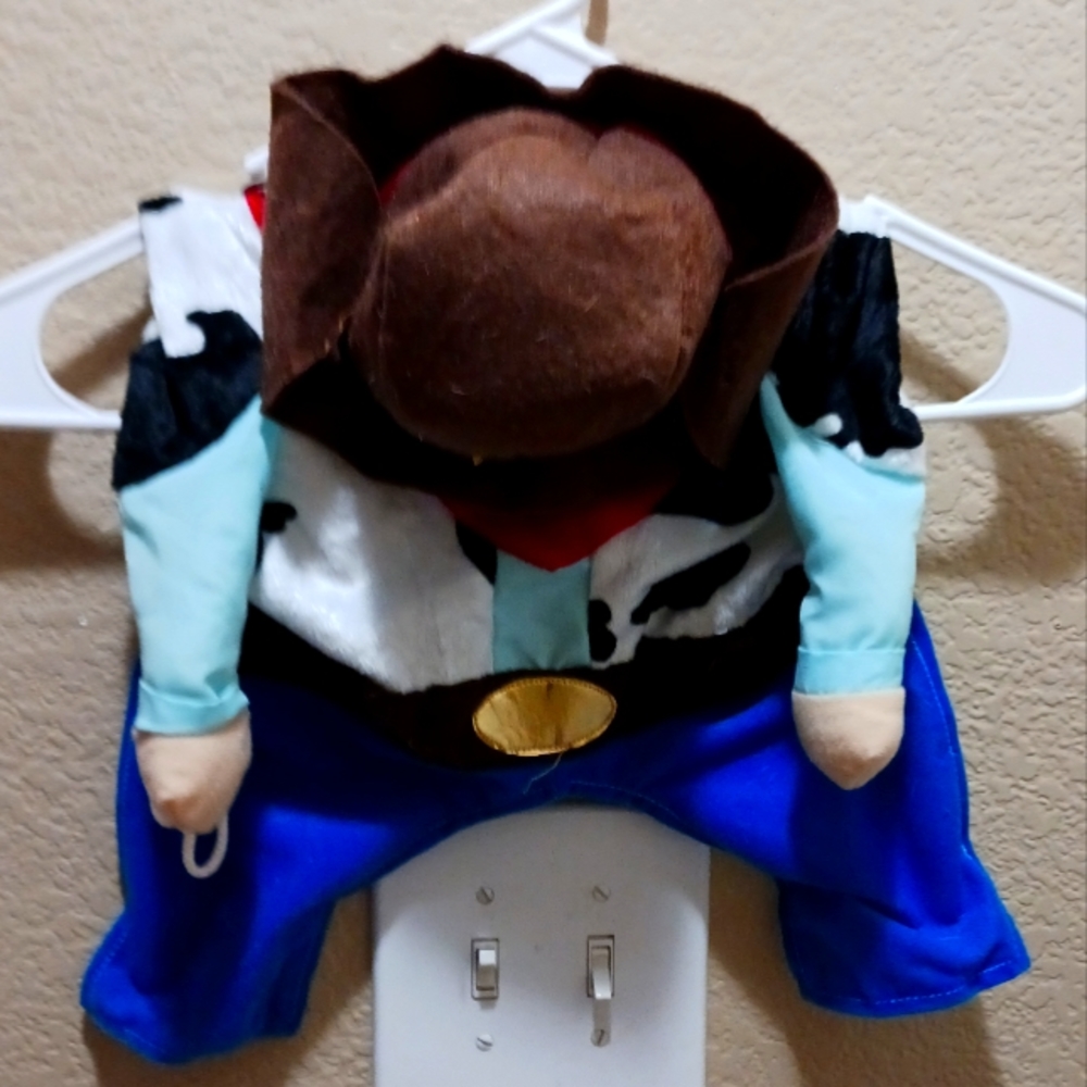 Cowboy dog costume